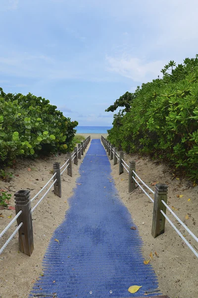 Sur de la playa miami — Foto de Stock