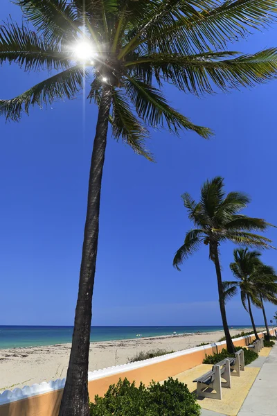 Paraíso tropical — Fotografia de Stock