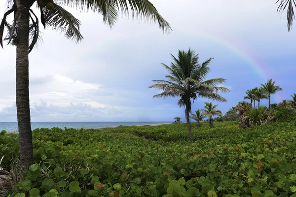 Regenboog — Stockfoto