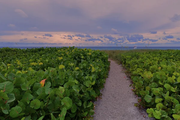 Tropische zonsondergang — Stockfoto