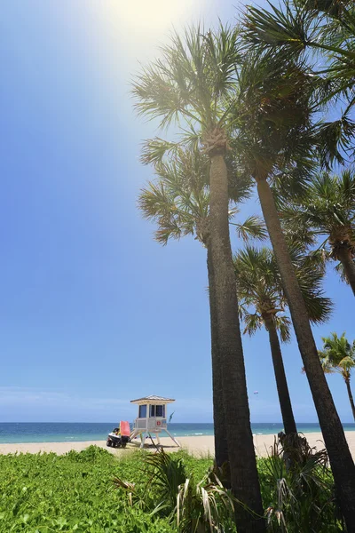 Fort Lauderdale Beach — Stok fotoğraf