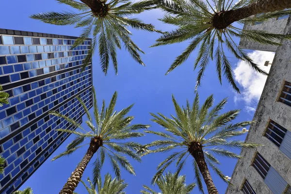 Strand von Miami — Stockfoto