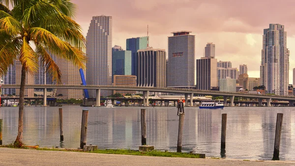 Golden Miami Skyline — Stock Photo, Image