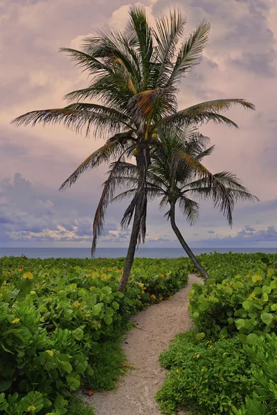 Playa tropical, vacía, Miami Beach — Foto de Stock