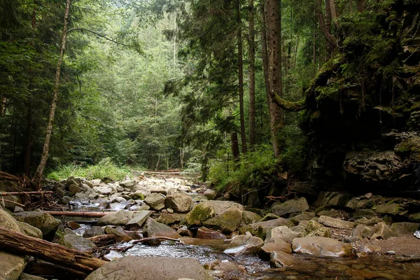 神奇的黑暗喀尔巴阡山脉森林 有一条河流 — 图库照片#