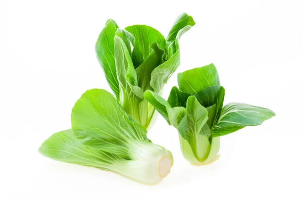 Bok choy (Çin lahanası) beyaz arka planda izole