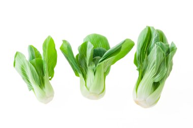 Bok choy (Çin lahanası) beyaz arka planda izole