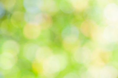 ufuk yeşil arka plan