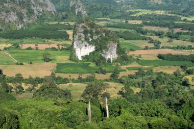Phayao Eyaleti, Tayland 'daki Phu Langka Ulusal Parkı' nın güzel dağ manzarası