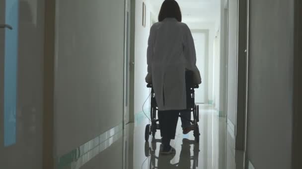 Lékař Tlačí Pomáhá Pacientovi Chodbě Nemocnici Zdravotnictví Lékařství — Stock video