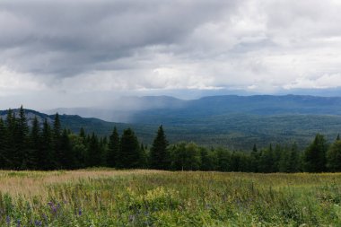 Rusya 'daki Güney Urallar' daki dağ ormanı vadisinin üzerindeki yağmur bulutlarına bakın.