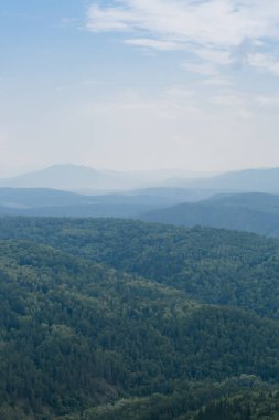 Güney Ural, Rusya 'daki yeşil dağ ormanlarının üzerinde sis var