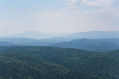 Güney Ural, Rusya 'daki yeşil dağ ormanlarının üzerinde sis var