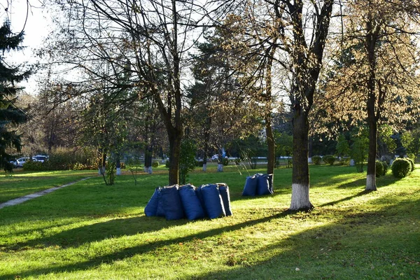 Paisaje Parque Otoño Con Bolsas Hojas Recogidas Césped — Foto de Stock