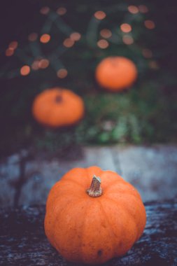 Ahşap bir masanın üzerinde iki bulanık balkabağı ve güzel, bulanık bir arka planı olan izole edilmiş küçük balkabakları. Eski tonlar