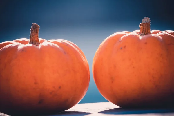 Two Little Pumpkins Wooden Table Beautiful Blurred Blue Background — Stock Photo, Image