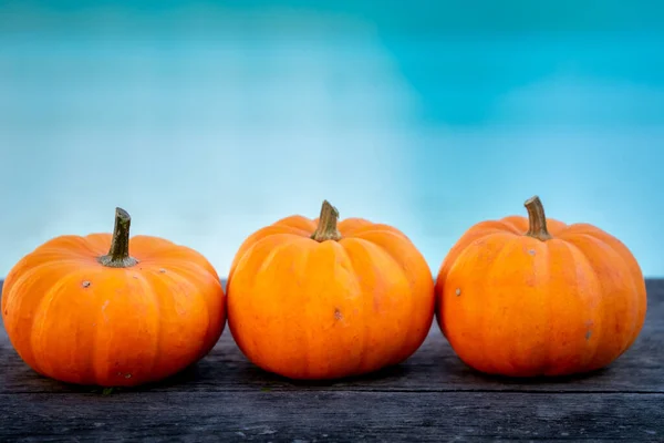 Three Little Pumpkins Wooden Table Beautiful Blurred Blue Background — Stock Photo, Image