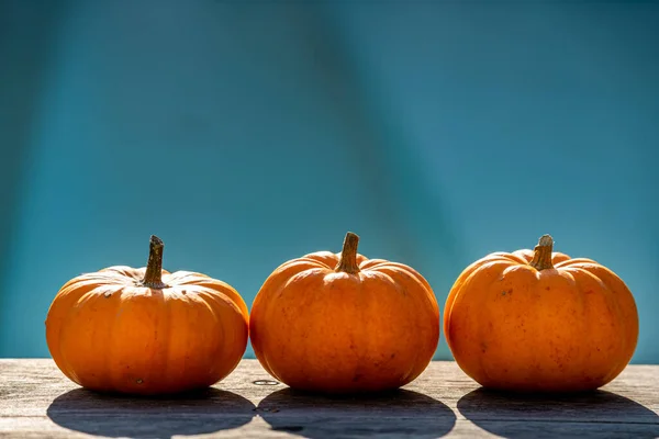 Three Little Pumpkins Wooden Table Beautiful Blurred Blue Background — Stock Photo, Image