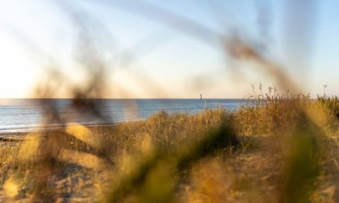 Rivedoux-plage Sahili Fransız kır adasındaki çim tepecikleri arasında. Chauveau deniz feneri otların arasında.