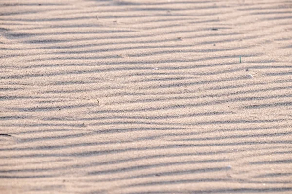 Closeup Sand Pattern Beach Summer Day Nature Background — Stock Photo, Image