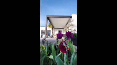Açık hava pergola gölgelik yapısı, tente ve teras çatısı, bahçe salonu, sandalyeler, peyzaj ile çevrili metal ızgara.