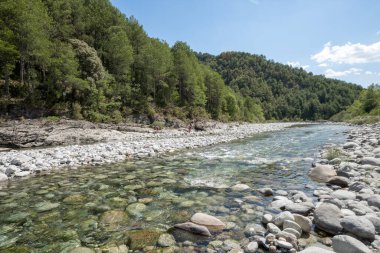 Aragon Ormanı 'ndaki Cinca Nehri. İspanya 'nın Huesca, İspanya' nın kuzeyindeki berrak sularda bulunan harika doğal havuzlarıyla