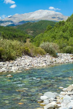 Aragon Ormanı 'ndaki Cinca Nehri. İspanya 'nın Huesca, İspanya' nın kuzeyindeki berrak sularda bulunan harika doğal havuzlarıyla