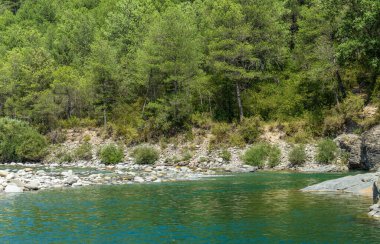Aragon Ormanı 'ndaki Cinca Nehri. İspanya 'nın Huesca, İspanya' nın kuzeyindeki berrak sularda bulunan harika doğal havuzlarıyla