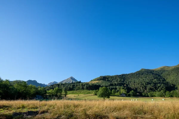 Typical Pyrenean Landscape Aure Valley Clear Blue Sky Amazing View — Stok fotoğraf