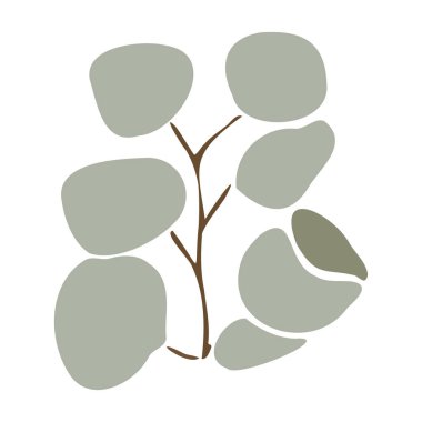 Okaliptüs yapraklı yumuşak vektör çizimi. Uluslararası Kadınlar Günü, Düğün ve Anneler Günü 'nde kadınlar için bahar çiçeği. Dekorasyon pabuçları, kartlar, posterler için çiçek.