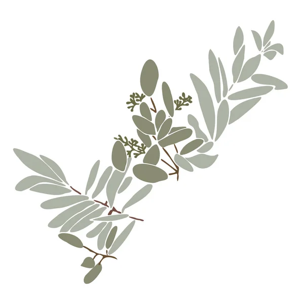 Anbud Vektor Platt Illustration Med Bukett Blommor Vårbukett Med Eukalyptus — Stock vektor