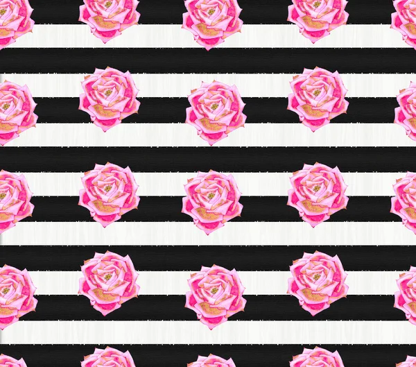 Black and white striped pattern with pink roses. . High quality illustration