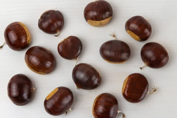 Ripe Chestnuts Freshly Picked Removed Hedgehog Arranged White Wooden Surface — Stock Photo, Image