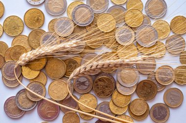 Temiz bir yüzeyde buğday kulakları ve yanında da bozuk paralar. Tahıl maliyeti, fiyat artışı, tahıl fiyatları.