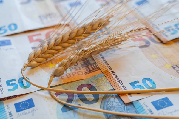 Temiz bir yüzeyde buğday kulakları ve yanında da bozuk paralar. Tahıl maliyeti, fiyat artışı, tahıl fiyatları.