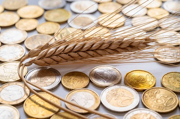 麦穗在清澈的表面上 硬币在它旁边 粮食成本 价格上涨 粮食价格 — 图库照片