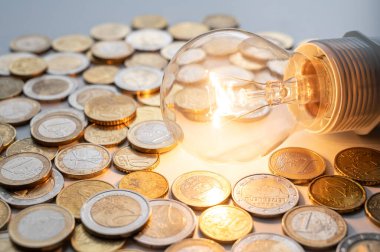 Ampul yandı, etrafında bozuk paralar vardı. Elektrik tarifelerinde artış, enerji bağımlılığı, enerji kaynakları ve enerji arzında artış. 