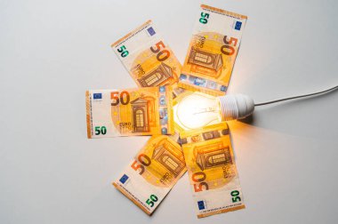 Ampul yandı, etrafta Euro banknotları vardı. Elektrik tarifelerinde artış, enerji bağımlılığı, enerji kaynakları ve enerji arzında artış.