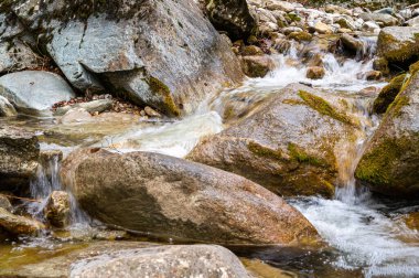 Dağ kıyısı. Su bolluğu, su kaynakları tasarrufu ve kullanımı. Kuraklığın karşıtlığı. 