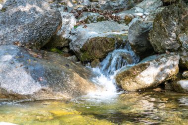 Dağ kıyısı. Su bolluğu, su kaynakları tasarrufu ve kullanımı. Kuraklığın karşıtlığı. 