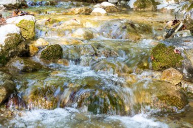 Dağ kıyısı. Su bolluğu, su kaynakları tasarrufu ve kullanımı. Kuraklığın karşıtlığı. 