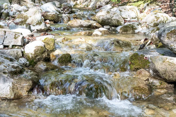 Dağ kıyısı. Su bolluğu, su kaynakları tasarrufu ve kullanımı. Kuraklığın karşıtlığı. 