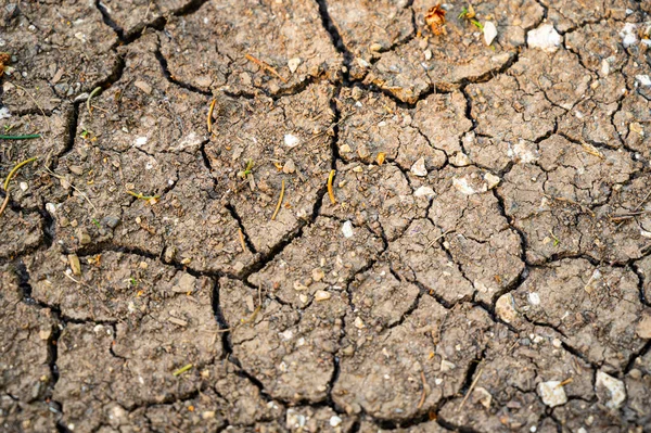 有裂缝 缺水和干旱的干土 — 图库照片