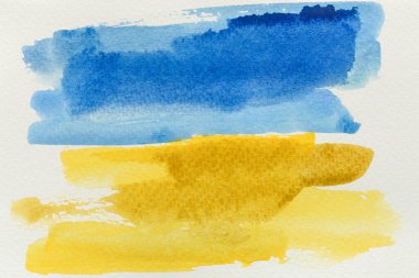 Ukrayna 'nın suluboya bayrağı. Sarı ve mavi renkler. Ülkenin ulusal sembolü. Elle boyanmış renkli dokunuşlar ve suluboya kağıt üzerinde bir fırça. Şık bir pankart ya da arka plan. UA.