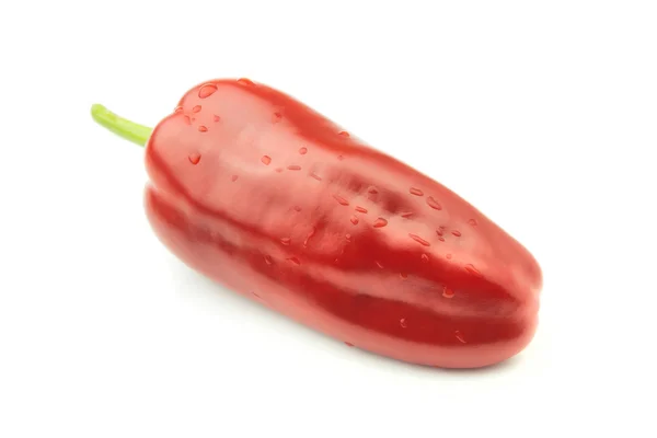 Uma pimenta doce — Fotografia de Stock