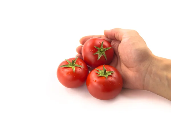 Tre pomodori con mano — Foto Stock