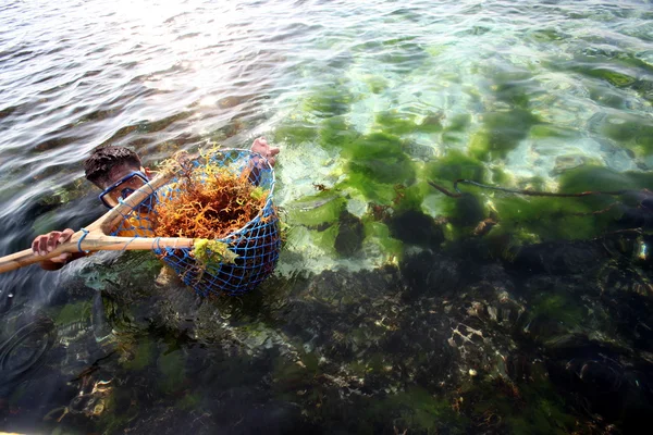 BALI NUSA LEMBONGAN — Stock Photo, Image