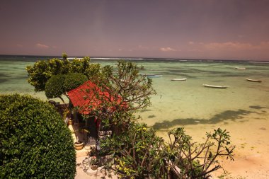 Bali Adası