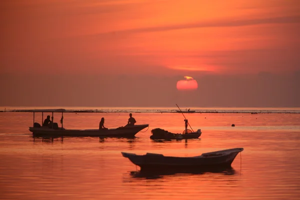 Sea grass plantation at sunset — Stock Photo, Image