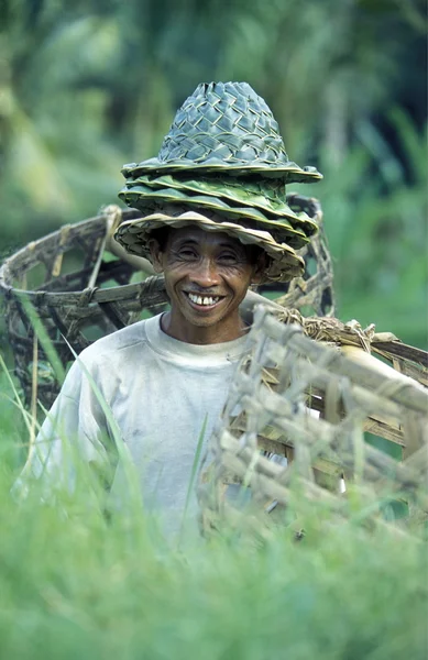 BALI — Stock Photo, Image